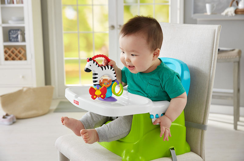 Fisher-Price Fisher Price Ζέβρα Δραστηριοτήτων Με Βεντούζα FGJ11