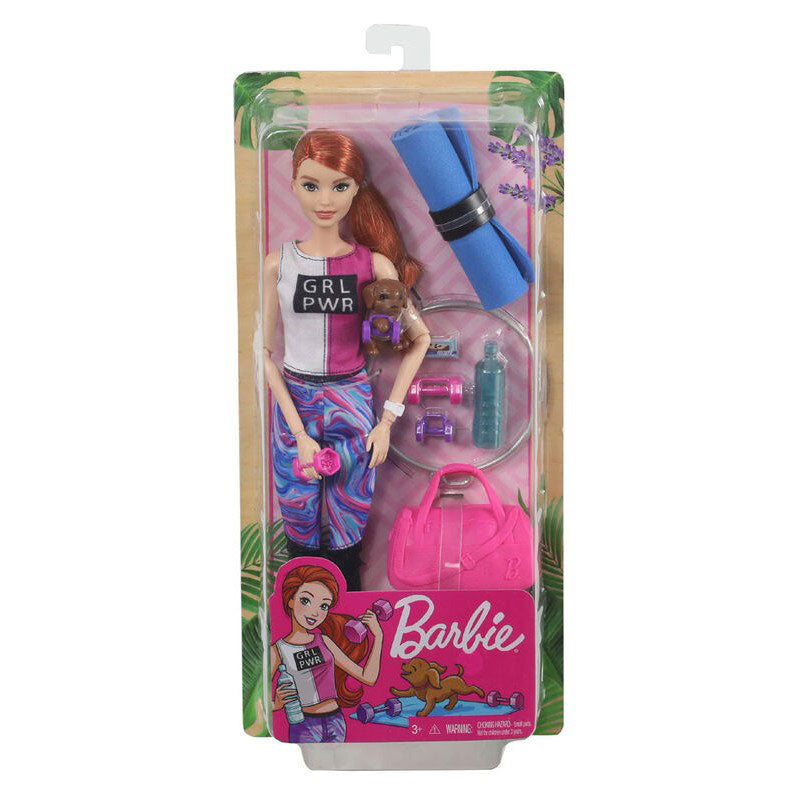 Mattel Barbie Wellness Ημέρα Ομορφιάς Fitness Κούκλα – Γυμναστική GKH73 / GJG57