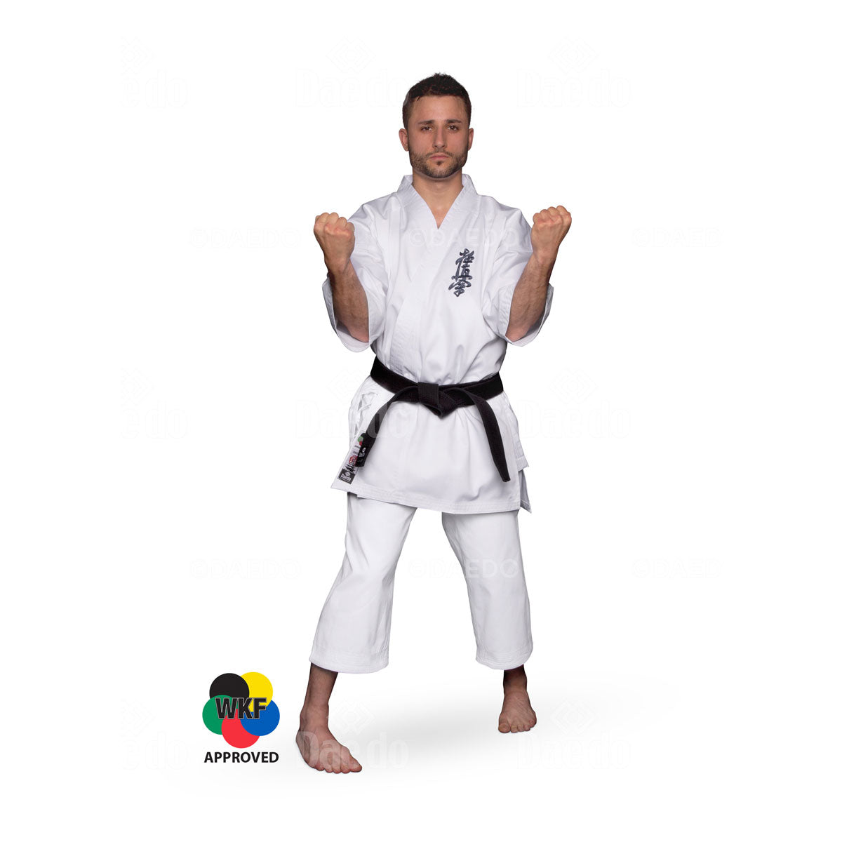 KA 1173 "SHODAN" KYOKUSHINKAI KARATEGI