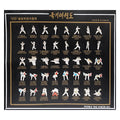 Korea Tae Kwon Do Moves