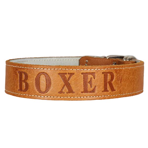 Περιλαίμιο Σκύλου Δερμάτινο Καφέ "Boxer" 48-58cm