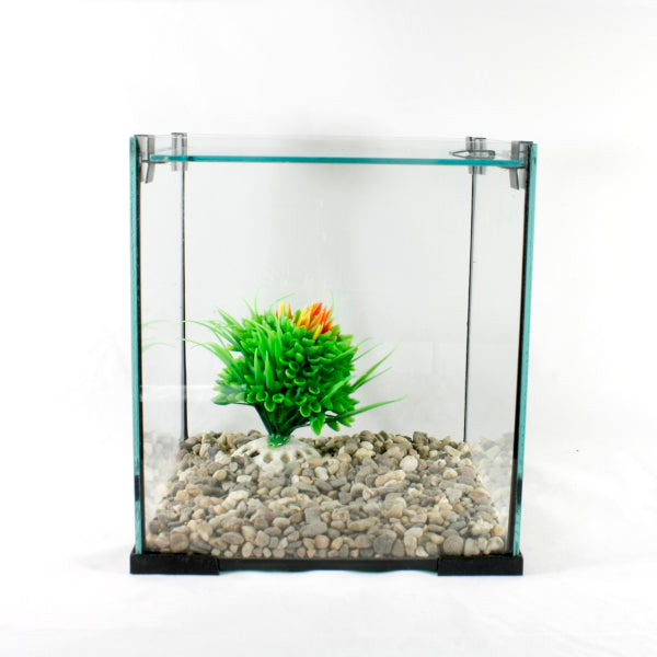 Ενυδρείο Cube PetGreece 6 Λίτρα 18x18x20cm