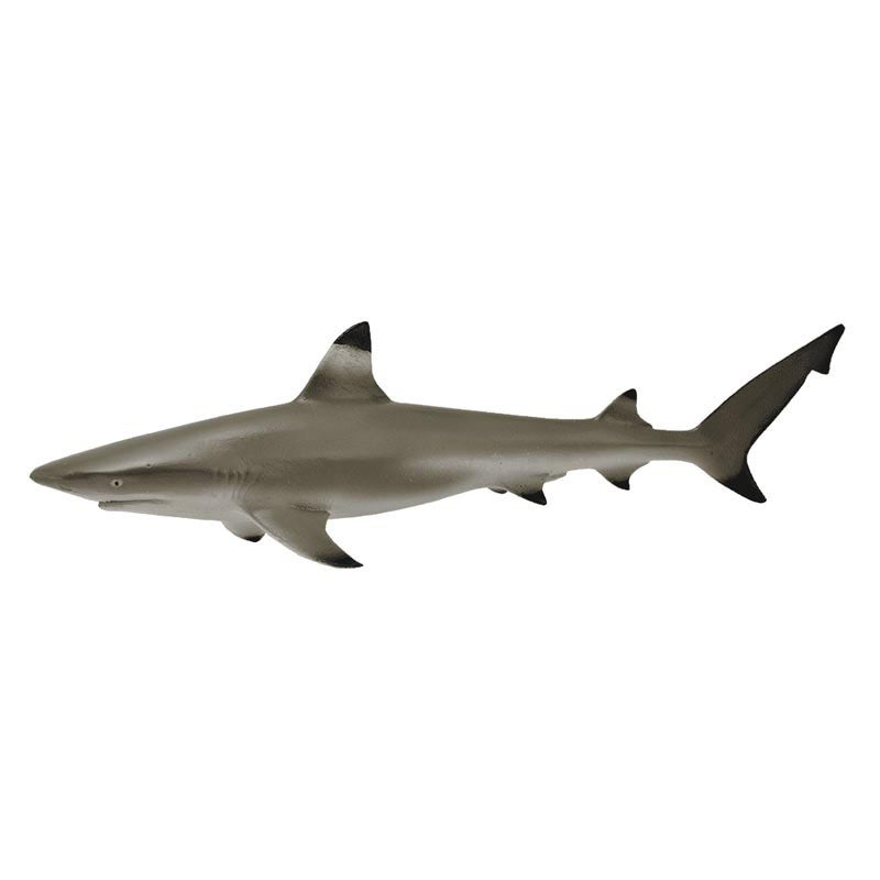 CollectA Μαυροπτέρυγος Υφαλοκαρχαρίας (88726)