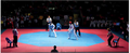 PRO 30078 TATAMI OCTOGONAL
