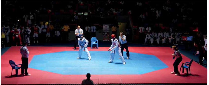 PRO 30078 TATAMI OCTOGONAL