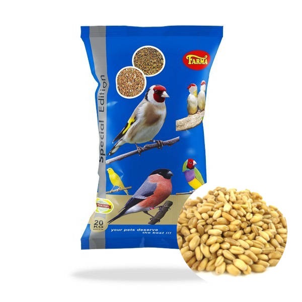 Farma Σιτάρι Αποφλοιωμένο 20Kg
