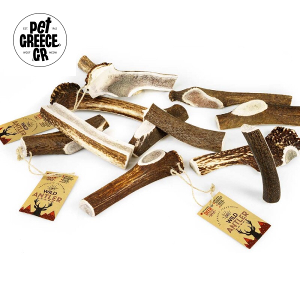 Red Deer Antler Φυσικό Kέρατο Ελαφιού Small 50-80gr
