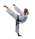 SASUNG ASSISTANT INSTRUCTOR (ITF)