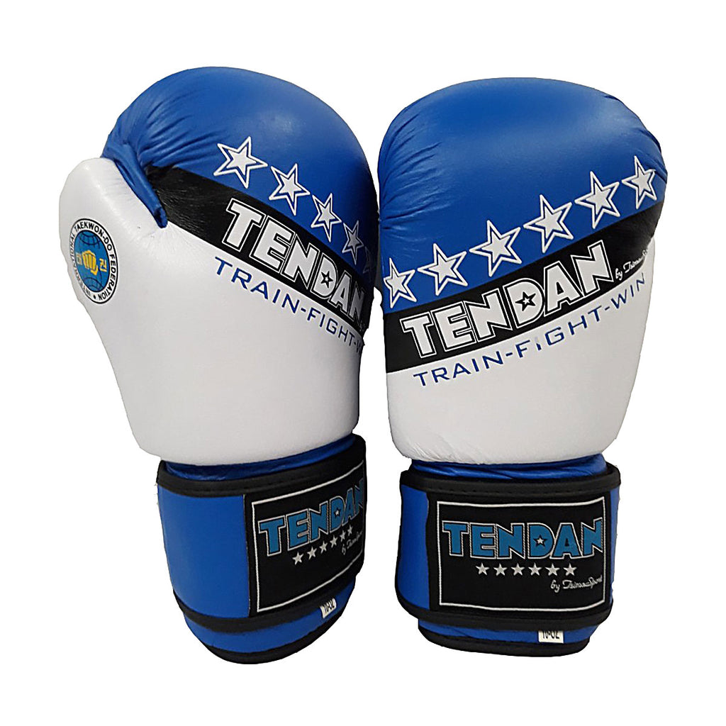 TEN DAN BOXING GLOVES LEATHER APPROVED E.I.T.F. 10oz