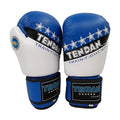 TEN DAN BOXING GLOVES LEATHER APPROVED E.I.T.F. 10oz