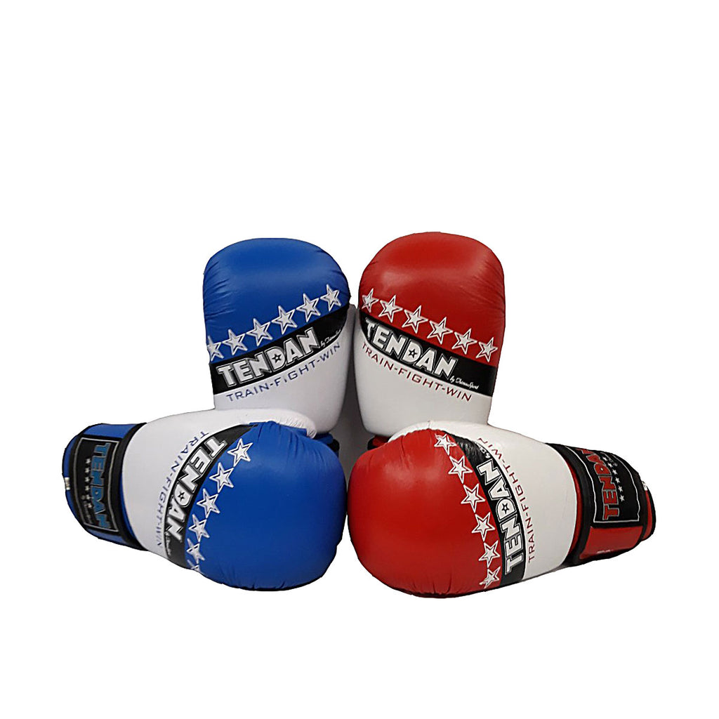 TEN DAN BOXING GLOVES LEATHER APPROVED E.I.T.F. 10oz