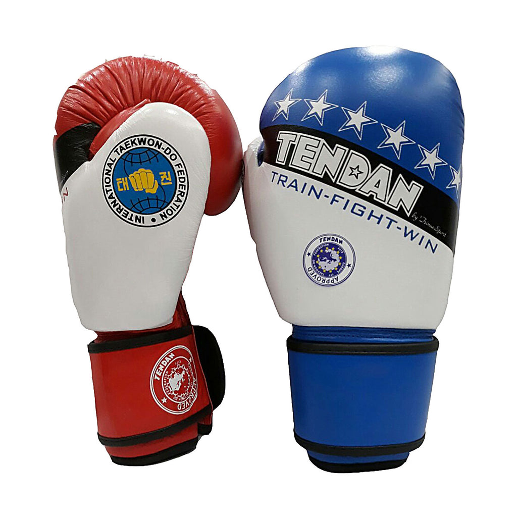TEN DAN BOXING GLOVES LEATHER APPROVED E.I.T.F. 10oz