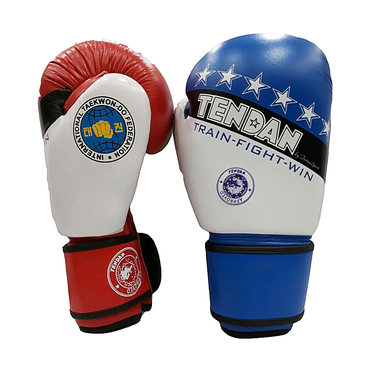TEN DAN BOXING GLOVES LEATHER APPROVED E.I.T.F. 10oz