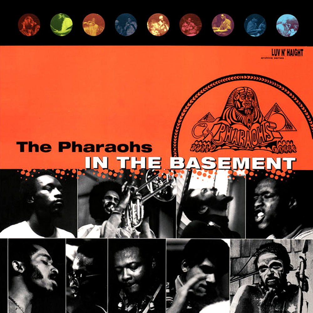 In The Basement