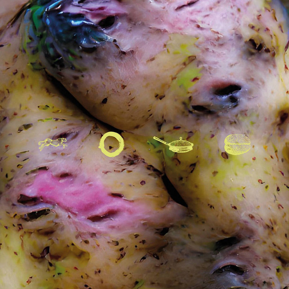 Fried Brains (Coloured Vinyl)