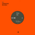 The Gondwana Orchestra (feat. Dwight Trible) - Colors