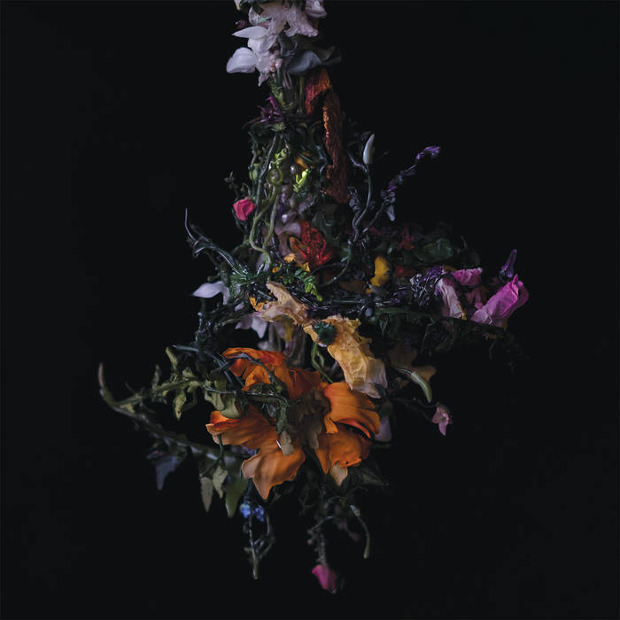 BIG|BRAVE - nature morte (Lavender Vinyl)