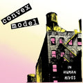 Convex Model - In Human Hives