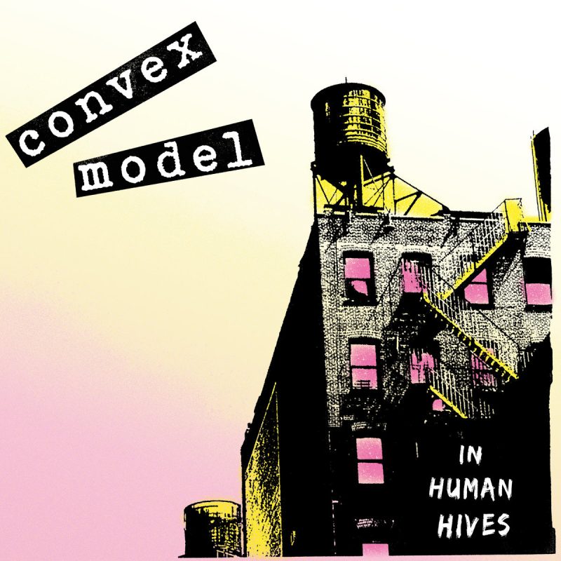 Convex Model - In Human Hives