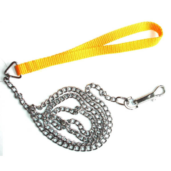 Οδηγός Αλυσίδα Σκύλου - Small 2,5mm x 1,2m Μπλε