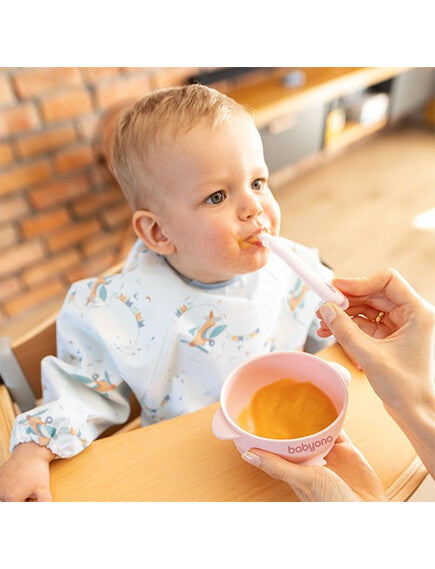 BabyOno: Μπολάκι σιλικόνης με λαβές, καπάκι &amp; βάση με βεντούζα - Ροζ BN1662/02