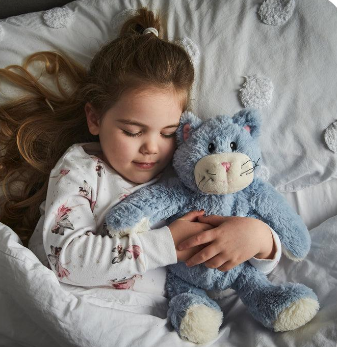 Warmies Γάτα CP-CAT-3