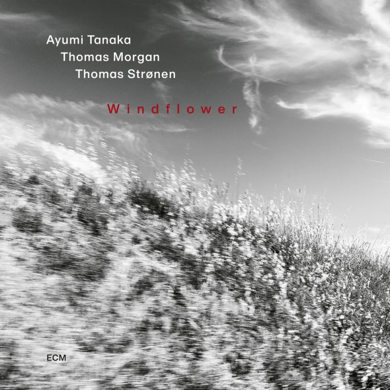 Ayumi Tanaka, Thomas Stronen, Thomas Morgan - Windflower (CD)