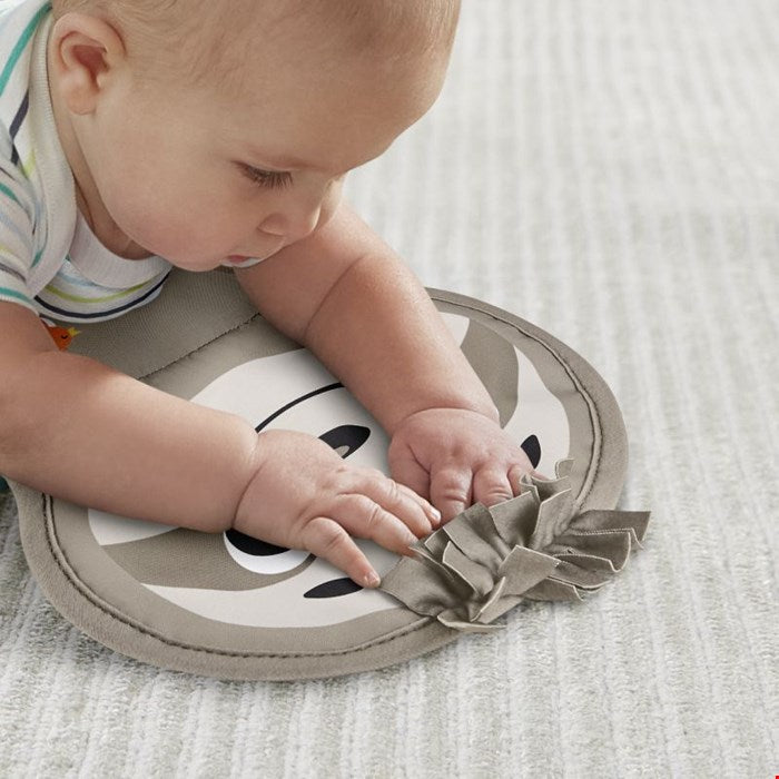 Fisher Price Μουσικό Μαξιλαράκι Δραστηριοτήτων – Βραδύπους GRR01
