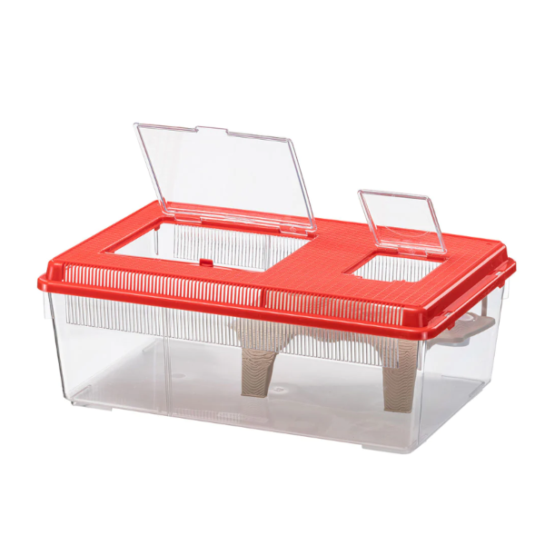 Ferplast Geo Flat Large Ενυδρείο Για Χελώνες 47x30,50x18