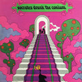 Socrates Drank The Conium