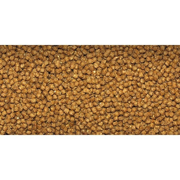 Dajana Gold Gran - 100 ml