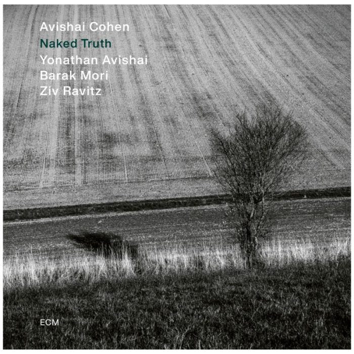 Avishai Cohen Quartet - Naked Truth