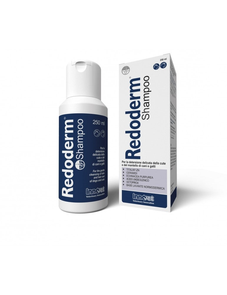 REDODERM SHAMPOO 250ML