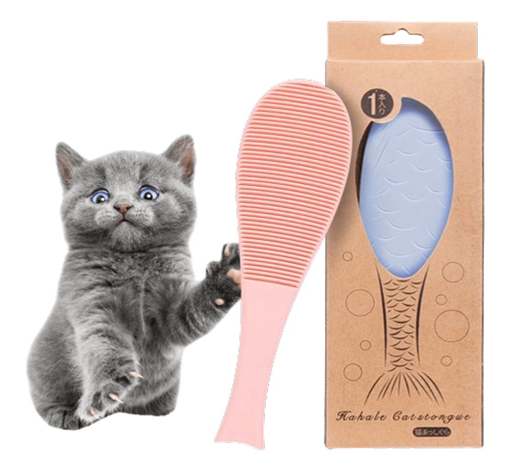 EF264B CAT STONGUE ΜΠΛΕ