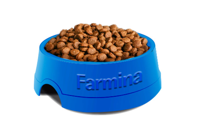 ΧΥΜΑ ECOPET NATURAL ADULT ΜΑΧΙ 1KG