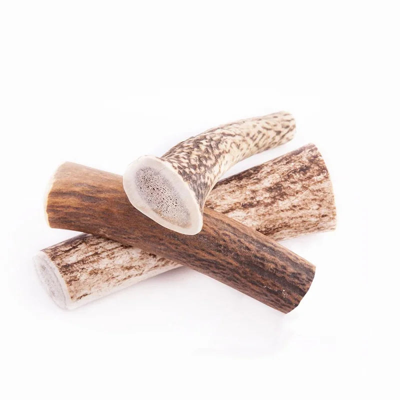 ANTLER WILDZ HARD ΚΕΡΑΤΟ ΕΛΑΦΙΟΥ L 15CM-70G
