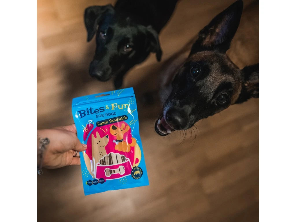 AKINU BITES & FUN LAMB SANDWICH 85GR ΛΙΧΟΥΔΙΕΣ ΜΕ ΑΡΝΙ