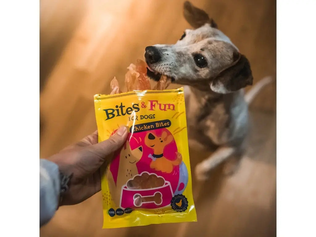 AKINU BITES & FUN CHICKEN BITS 60GR ΛΙΧΟΥΔΙΕΣ ΜΕ ΚΟΤΟΠΟΥΛΟ