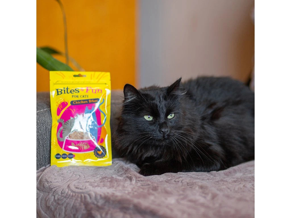 AKINU BITES & FUN CHICKEN BITS 60GR ΛΙΧΟΥΔΙΕΣ ΜΕ ΚΟΤΟΠΟΥΛΟ