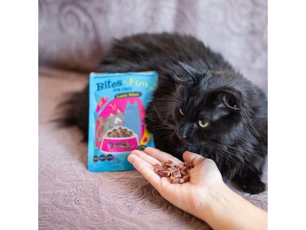 AKINU BITES & FUN LAMB PIECES 60GR ΛΙΧΟΥΔΙΕΣ ΜΕ ΑΡΝΙ