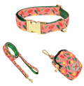 ΟΔΗΓΟΣ ΚΟΛΑΡΟ ΘΗΚΗ ΣΕΤ ΠΙΠΕΡΙΕΣ M 2CM 27-42CM 150CM
