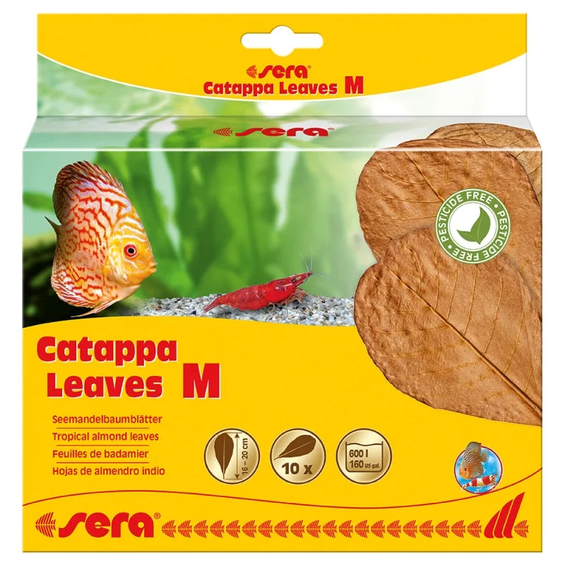 SERA CATAPPA LEAVES XXL32 CM 10PCS