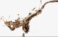 COILING DRAGON ROOT 40-120CM / PER KILO