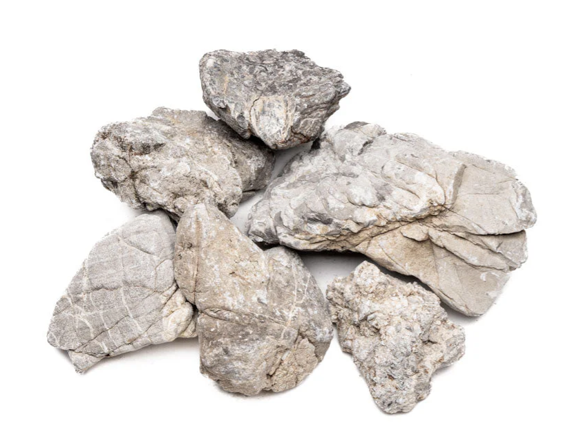 ELEPHANT SKINED STONE 0.1-10KG / PER KILO