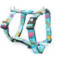 MAX & MOLLY H-HARNESS - BLUE OCEAN/S 1,5X41-52CM