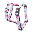 MAX & MOLLY H-HARNESS - CHERRY BLOOM/XS 1X32-40CM