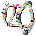 MAX & MOLLY H-HARNESS - DONUTS/M 2X53-69CM