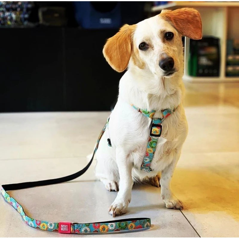 MAX & MOLLY H-HARNESS - DONUTS/S 1,5X41-52CM