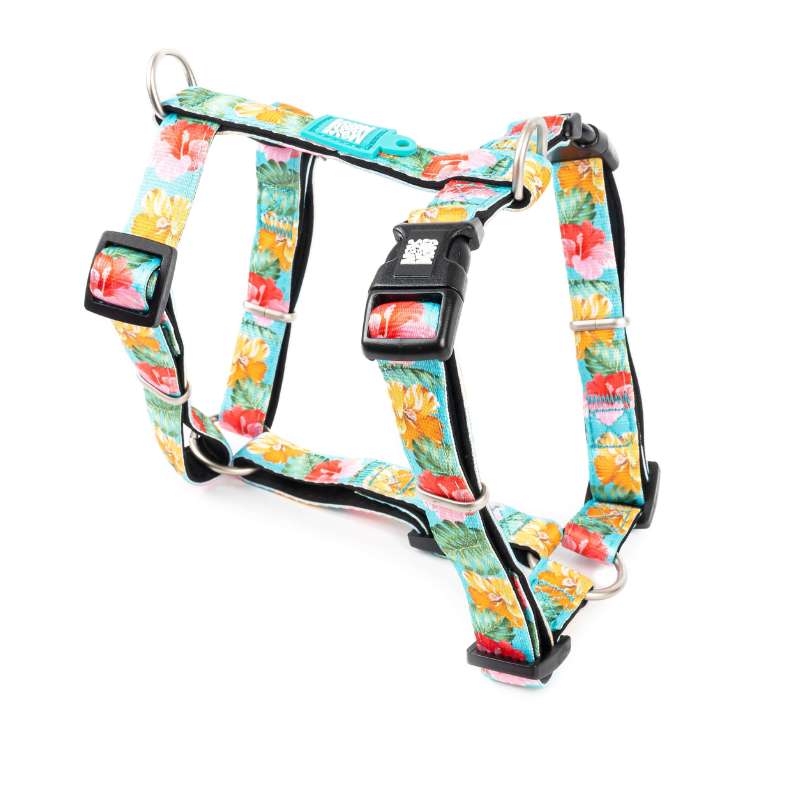 MAX & MOLLY H-HARNESS - EXOTIQUE/M 2X53-69CM