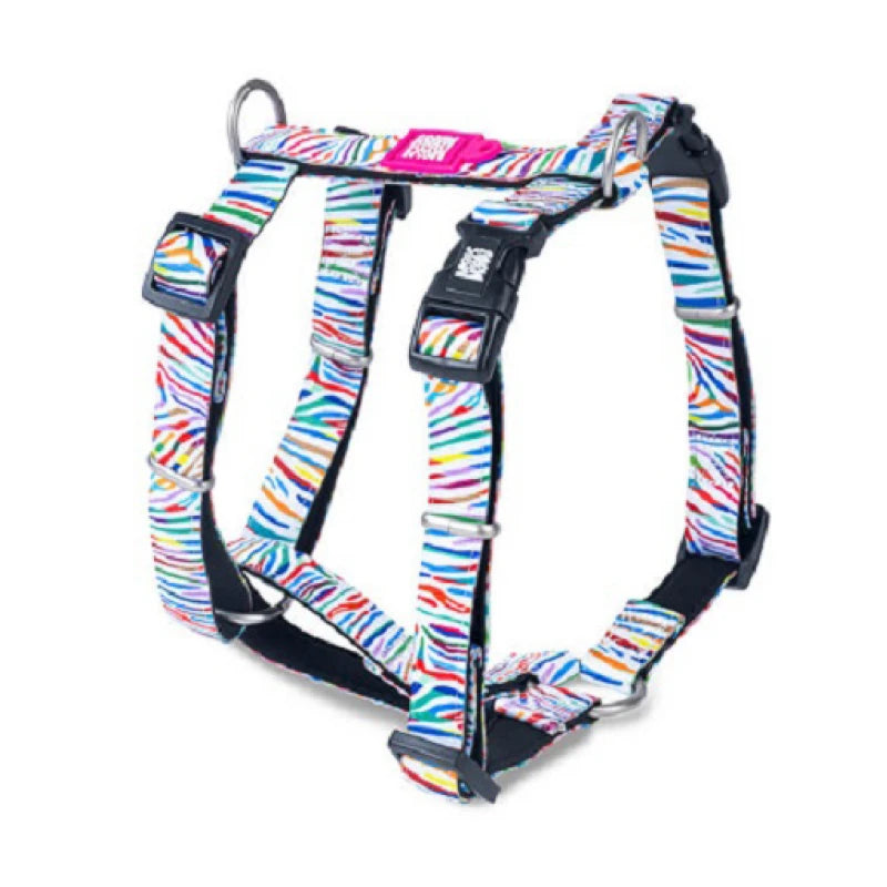 MAX & MOLLY H-HARNESS - MAGICAL/S 1,5X41-52CM